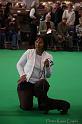 Crufts2011_2 703